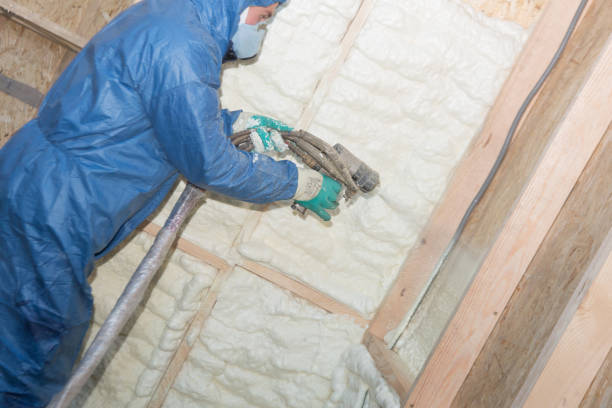 Best Spray Foam Insulation  in Heyville, AL